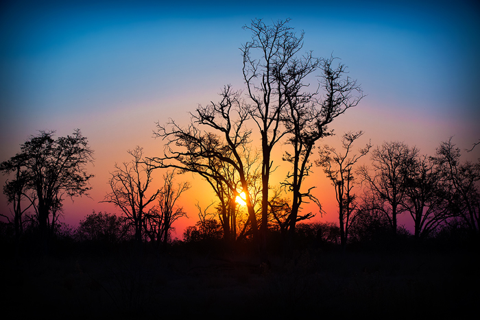 Африканский закат. Дельта реки Окаванго. Ботсвана - Андрей Ольшангер