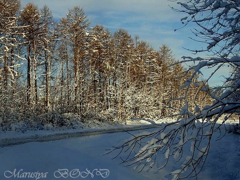 Первый снег - Marusiya БОНДАРЕНКО