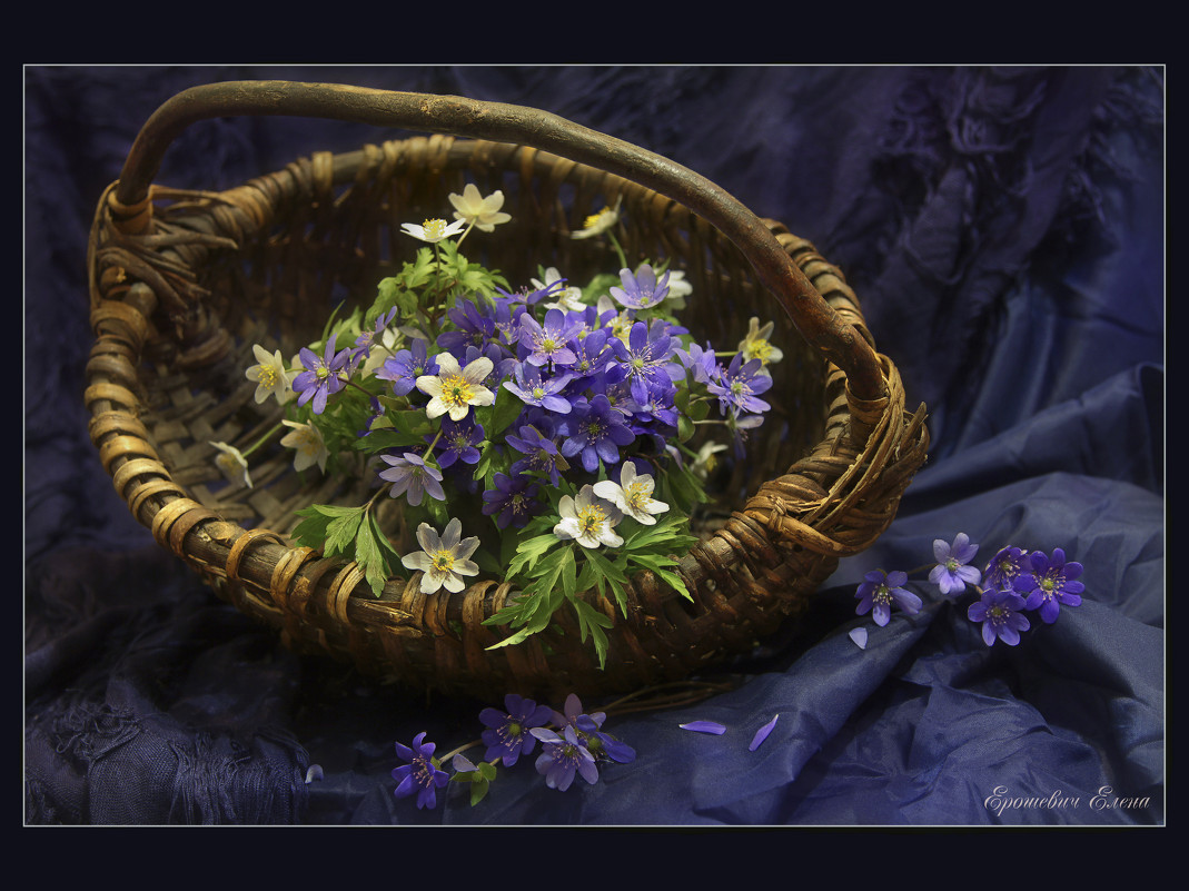 Весенние цветы - Елена Ерошевич