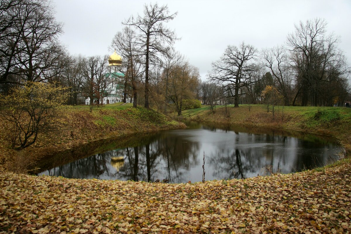 Царское Село. Ноябрь - Наталья Герасимова