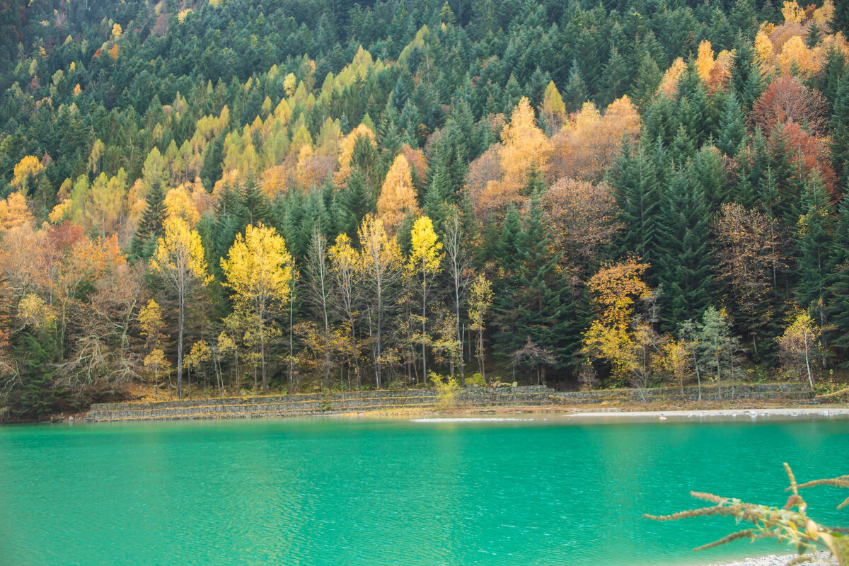 Осень на озере - Alla Alla