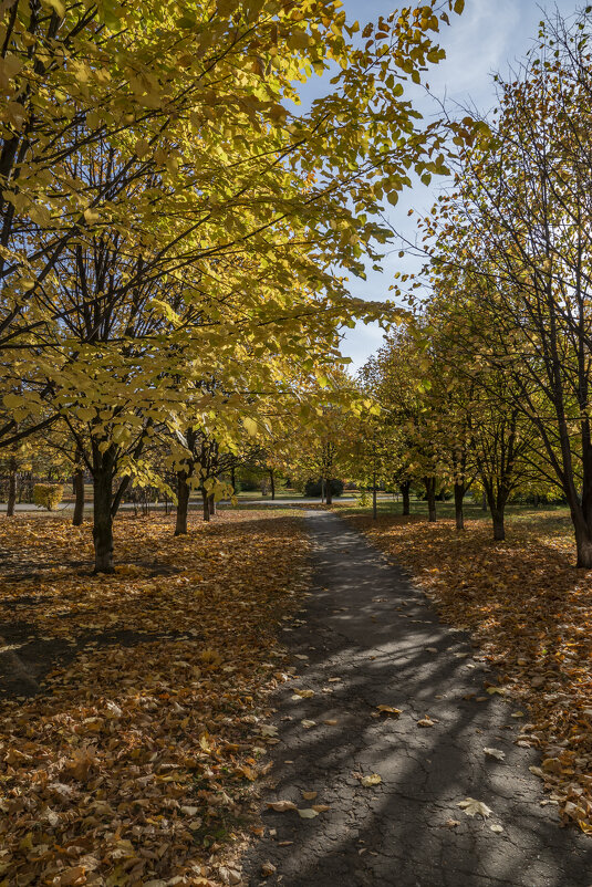Осенними дорожками.... Городской парк... г. Тольятти... - Наталья Меркулова