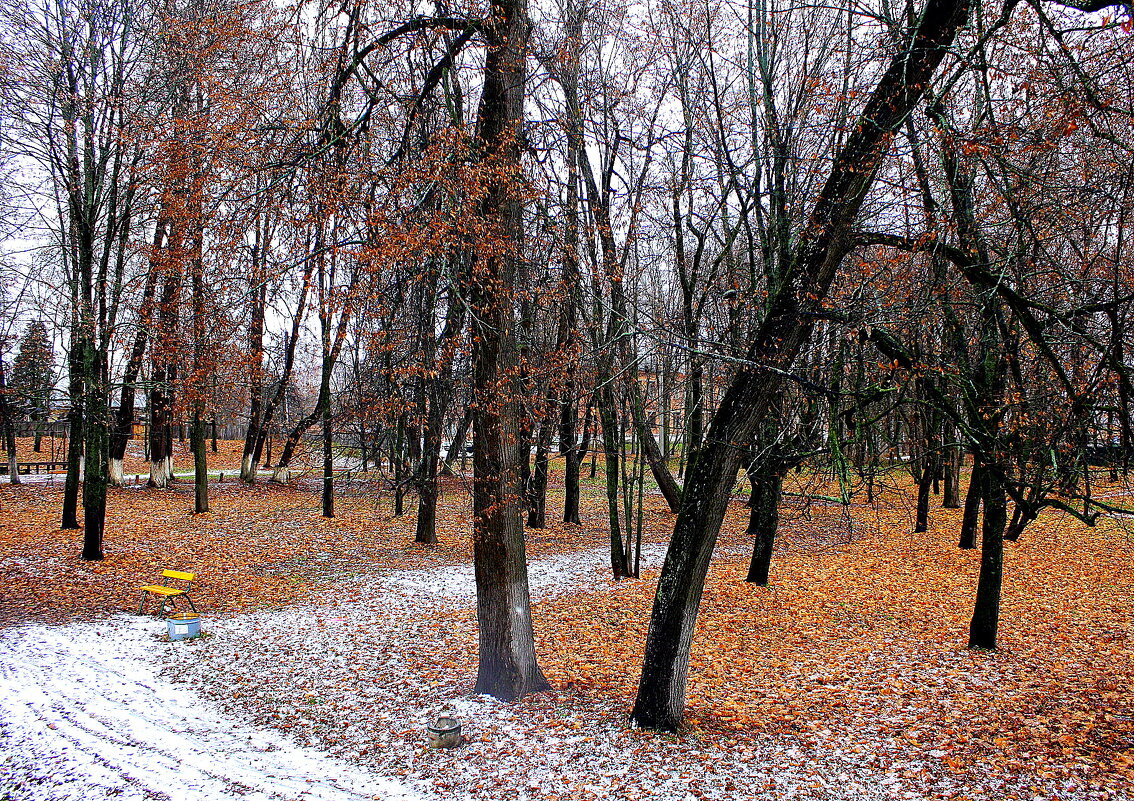 а таким был нояьрь в 2011 году - Любовь 