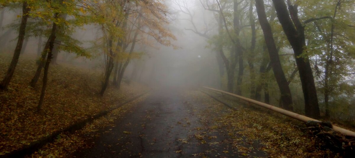 Дождливое утро...... - Юрий Цыплятников