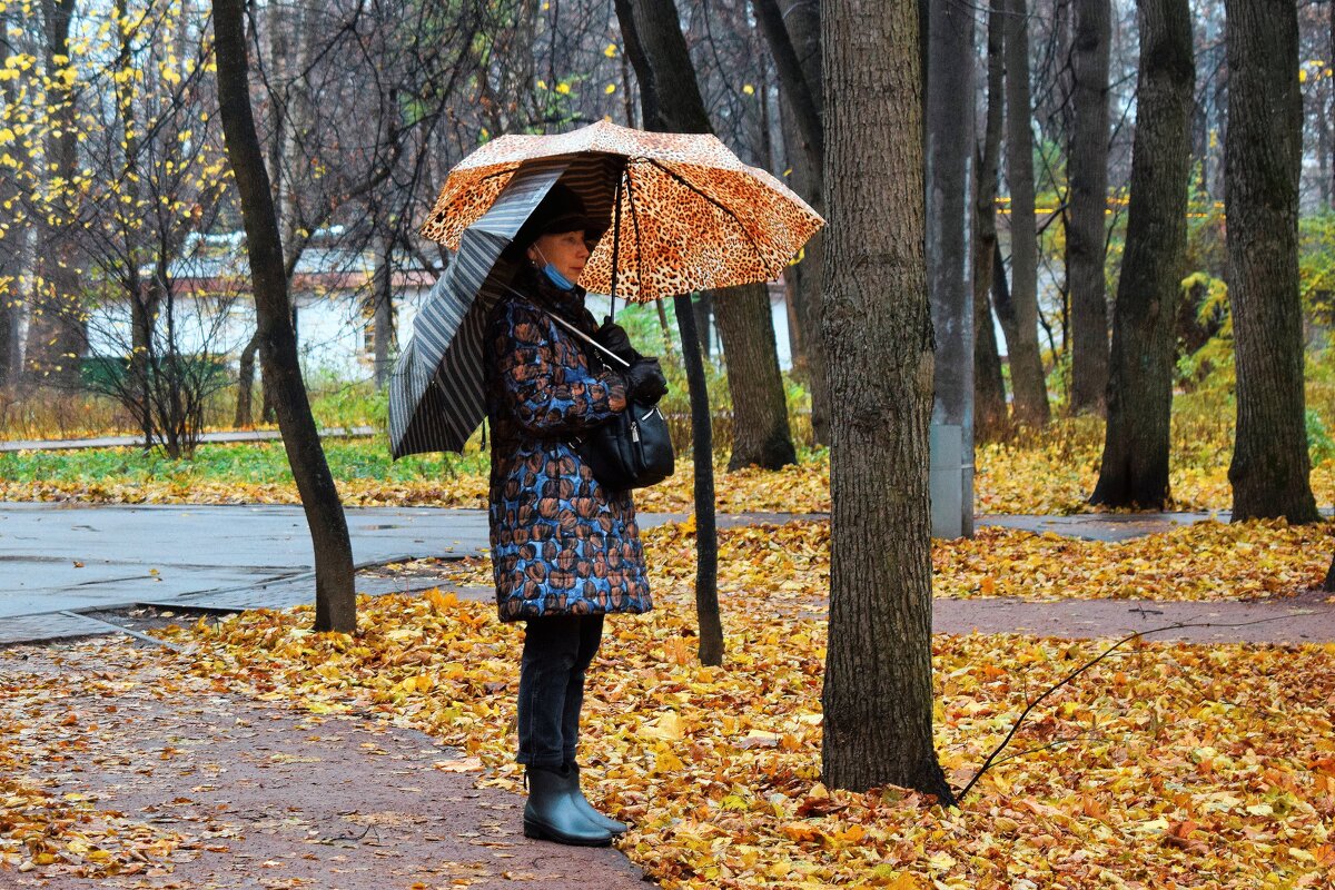 Два зонта лучше, чем один:)) - Татьяна Помогалова