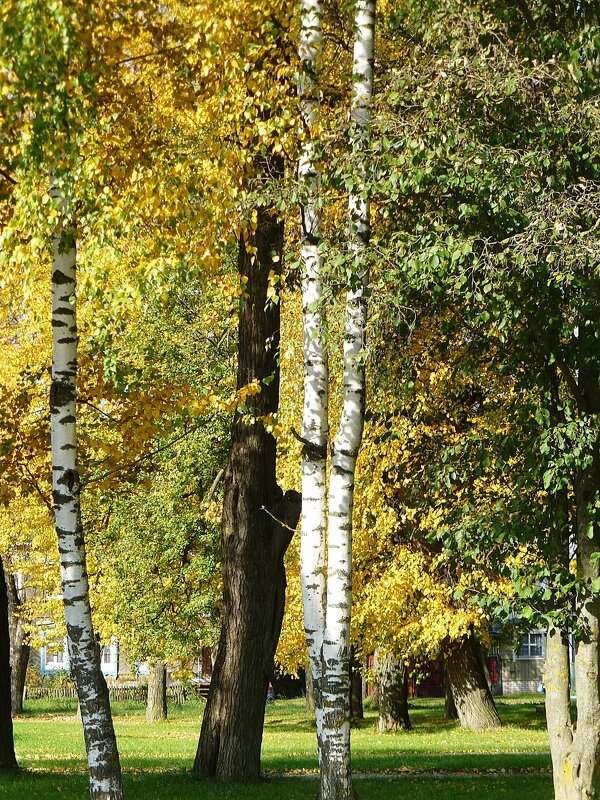 Осенний пейзаж - Лидия Бусурина