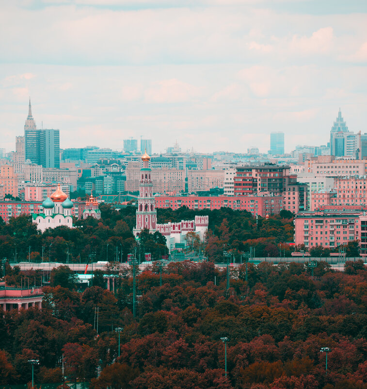 Вид на Москву. - Наталья Музычук