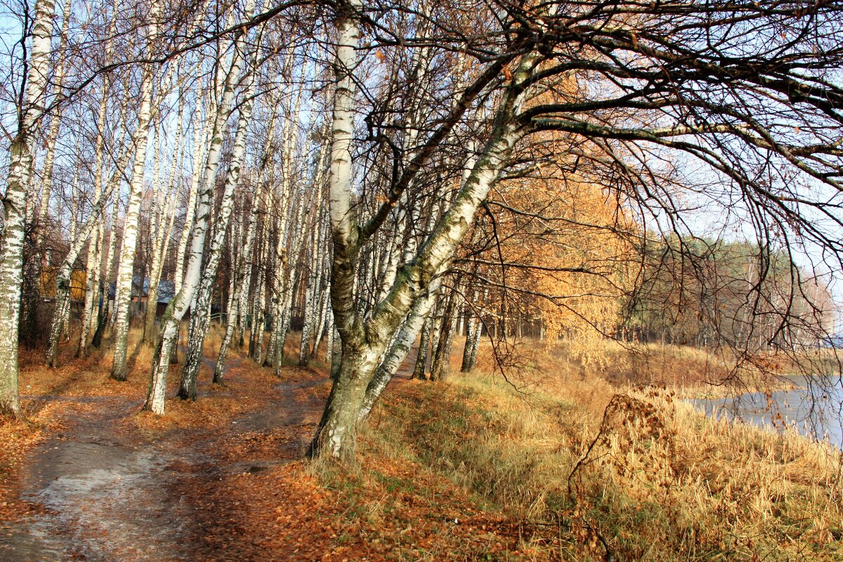 осень - Владимир Холодницкий