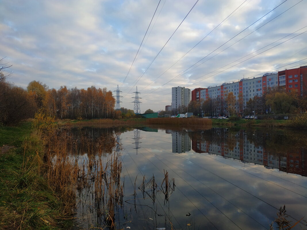 В октябре это казалось недостаточно красивым. В ноябре - в самый раз - Андрей Лукьянов