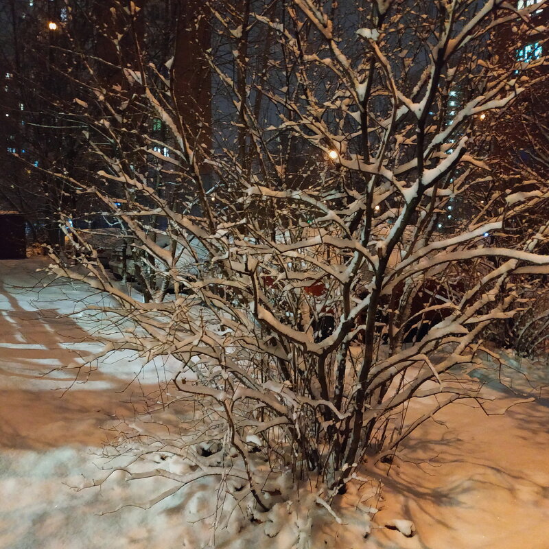 Первый снег в Москве - Андрей Лукьянов