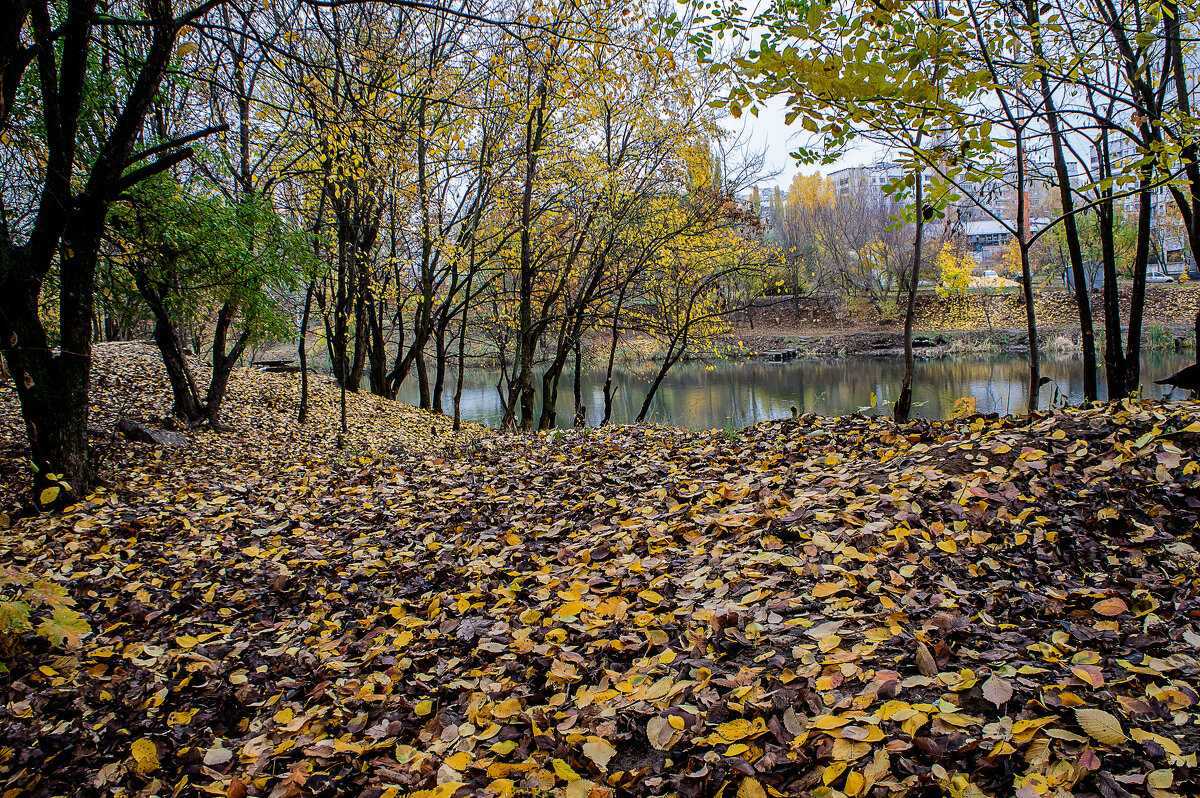 Фотозарисовка - Владимир Кроливец