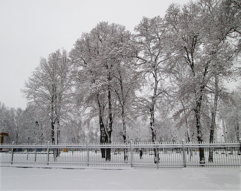 *** - Валентина Береснева