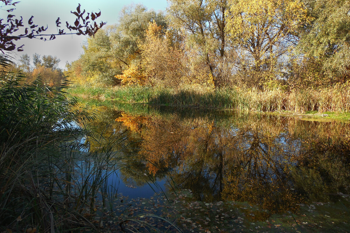 осень - Александр Борисович