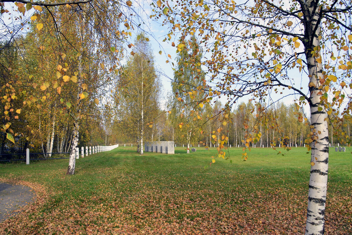 Осенний пейзаж - Нина Синица