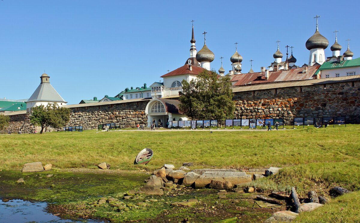 Редкая целостность - Владимир Соколов (svladmir)