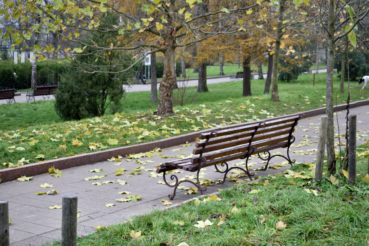 Осенний парк - Gera 