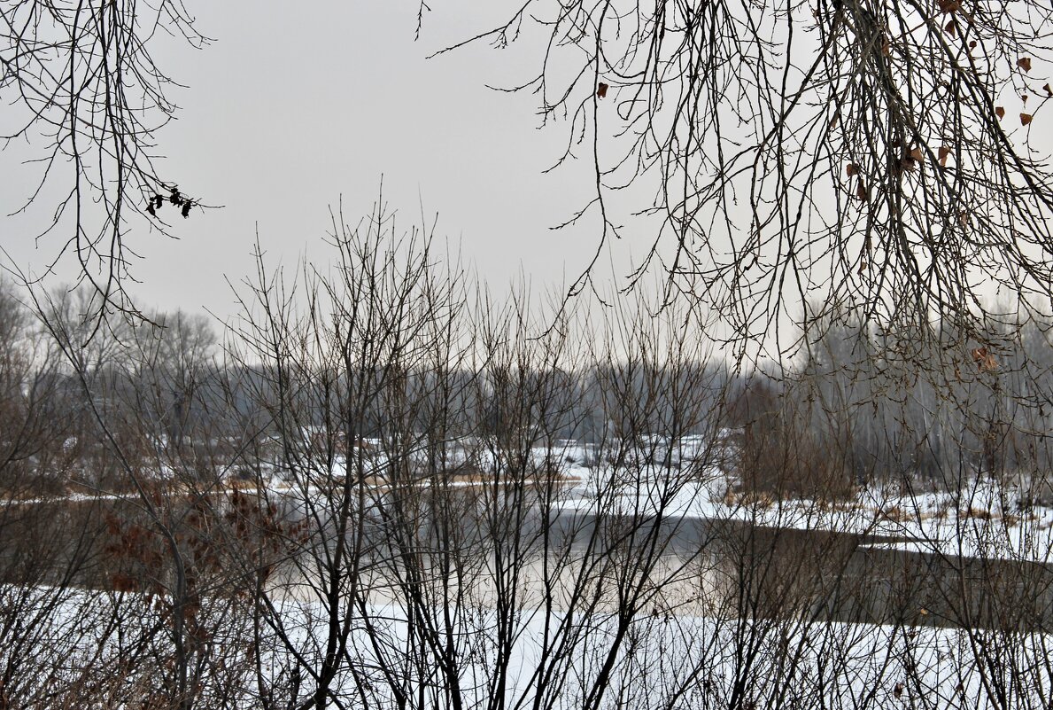 За городом. - Венера Чуйкова