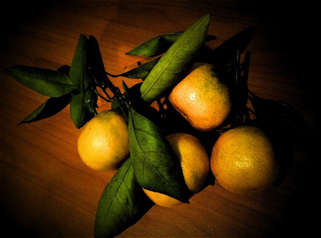 мандарины - IREN jonina