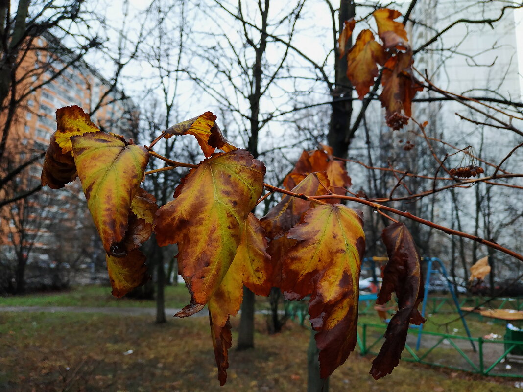 Ноябрь, однако - Андрей Лукьянов