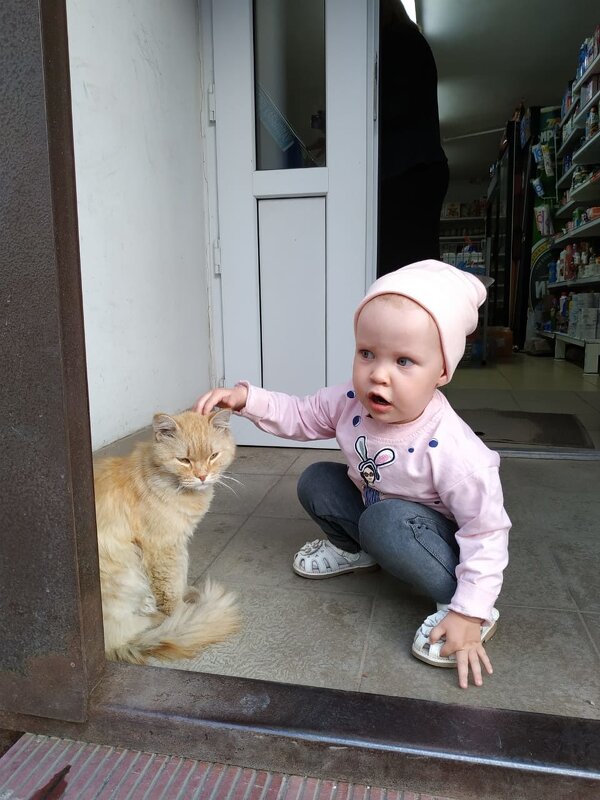 Кот и девочка... - Андрей Хлопонин