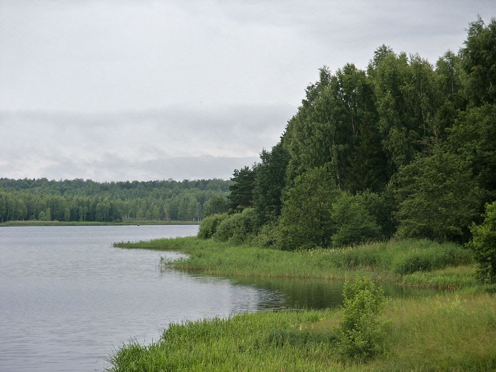 Залив.  Нижегородская область - MILAV V