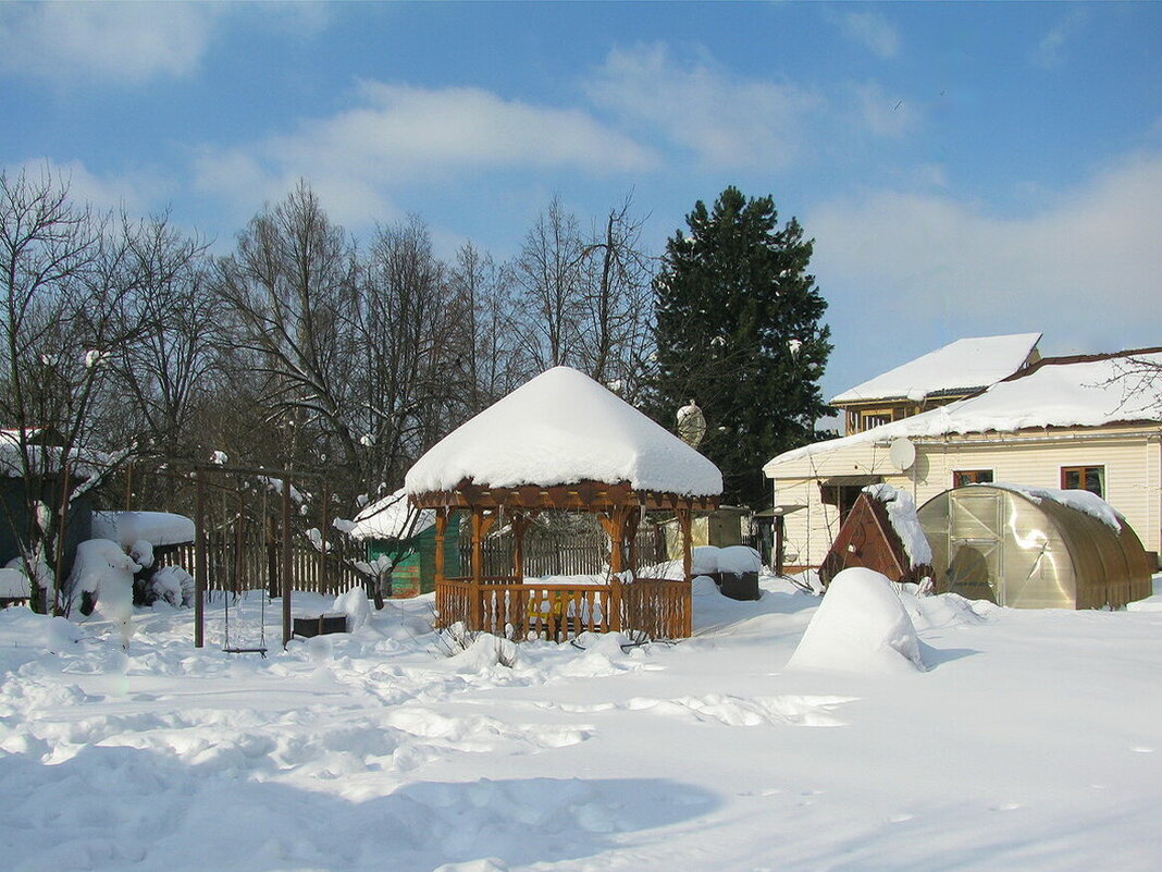 Мой сад зимой - Людмила Смородинская