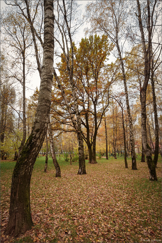 Осенний парк... - Сергей Кичигин