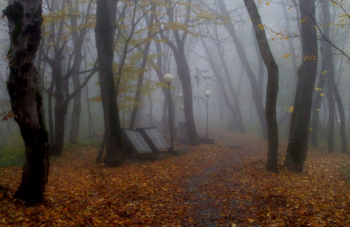 В осеннем парке...... - Юрий Цыплятников