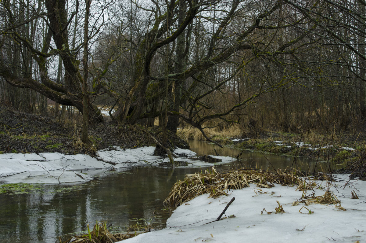 зимний ручей - владимир 
