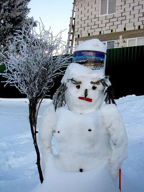 Вот такой снеговик - Людмила Смородинская