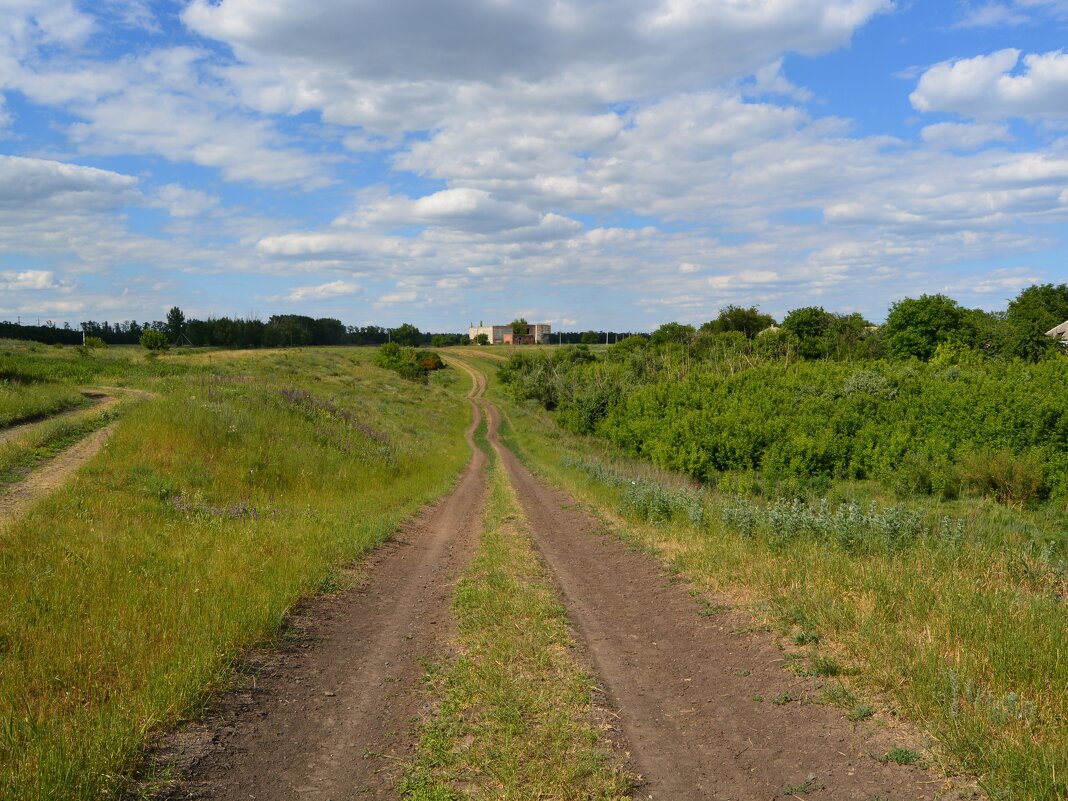 Новошахтинск. Просёлочная дорога балки Букина. - Пётр Чернега