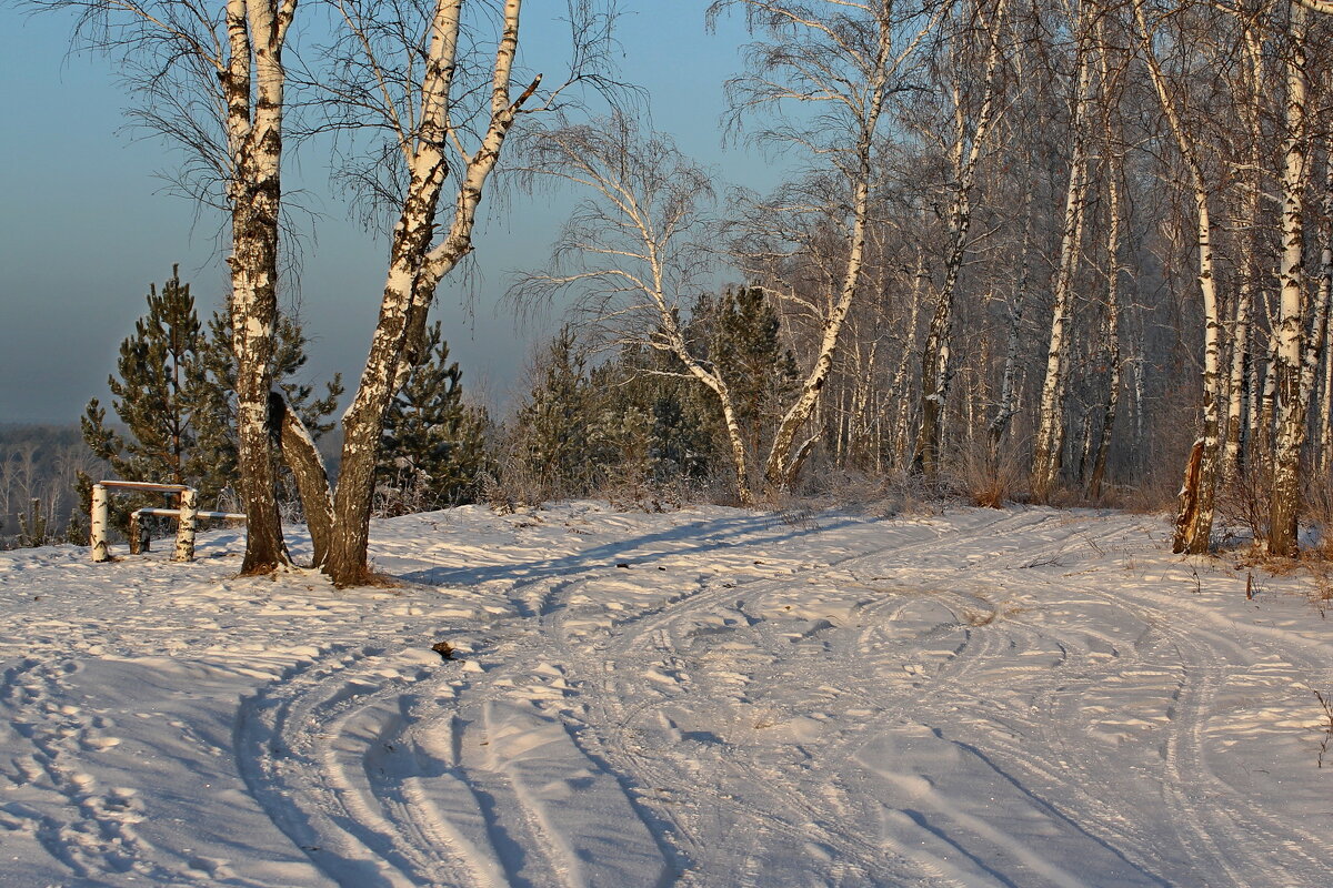 Зима - tamara kremleva