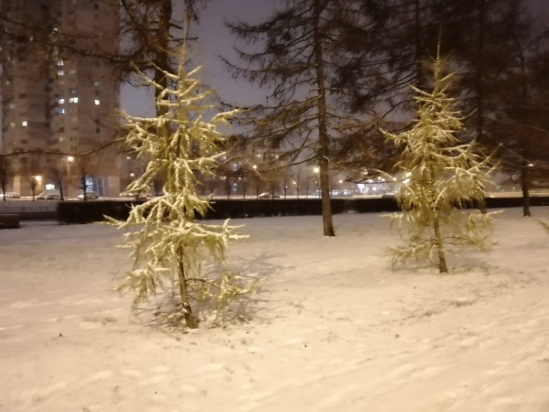 Вечером Снегопад - Митя Дмитрий Митя