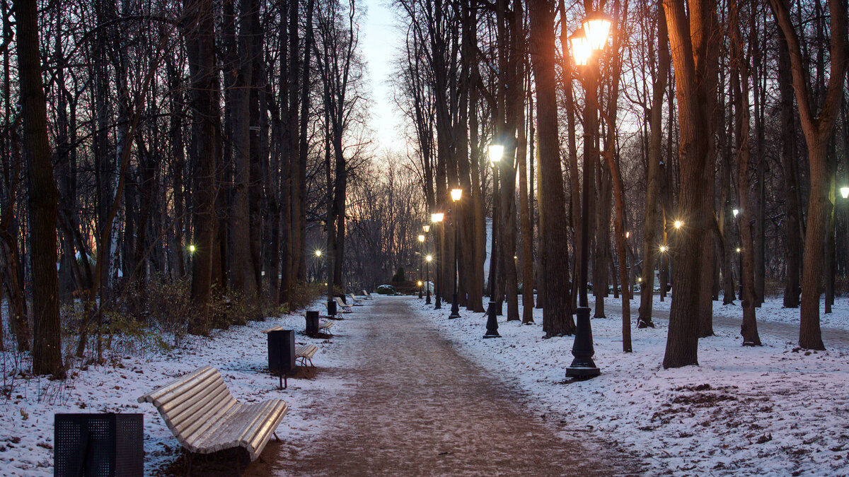 Вечер в парке - Михаил Танин 