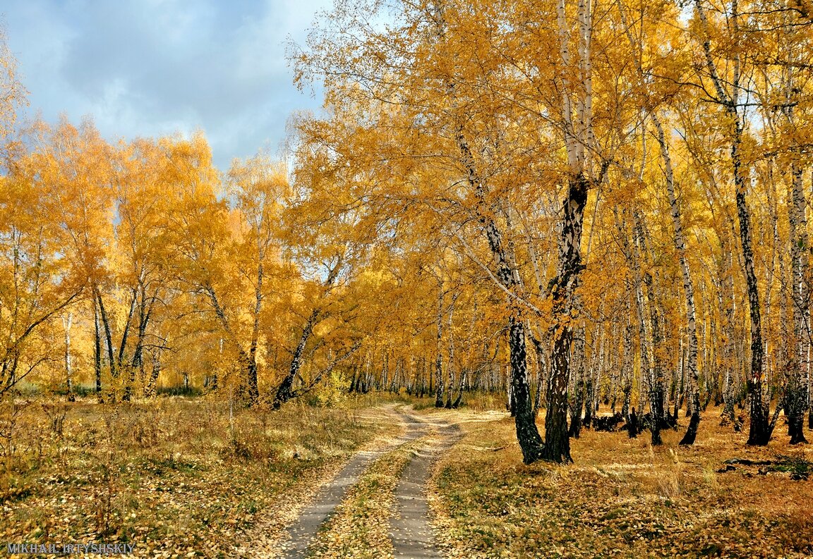 Красота октября - Mikhail Irtyshskiy