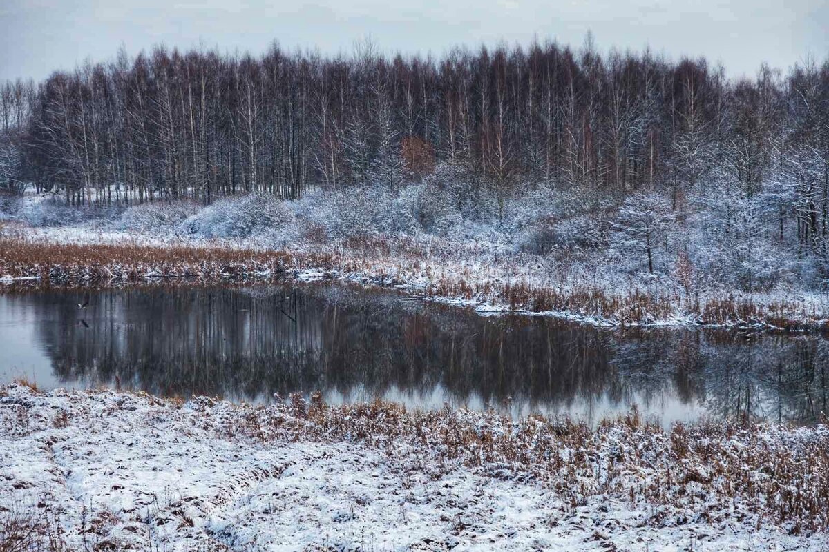 Зимний пейзаж - Наташа С