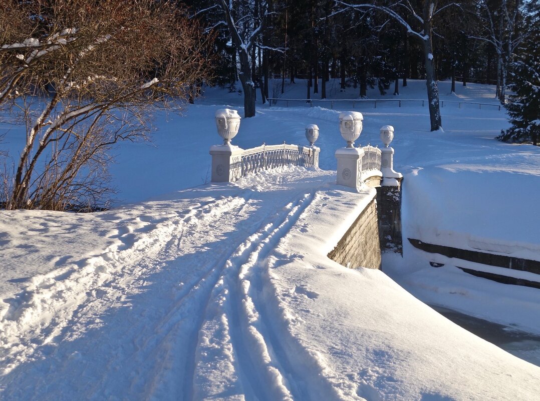 зима в Павловске - Елена 