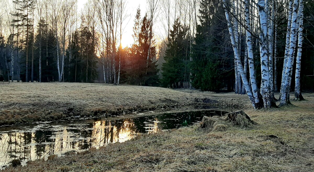 Павловский парк - Наталья Герасимова