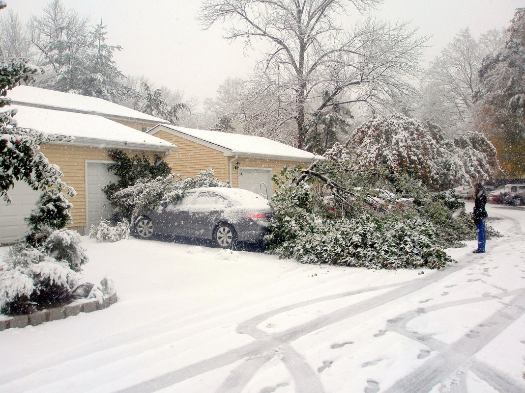 Снежная буря в городе Вейн, США. - Елена 