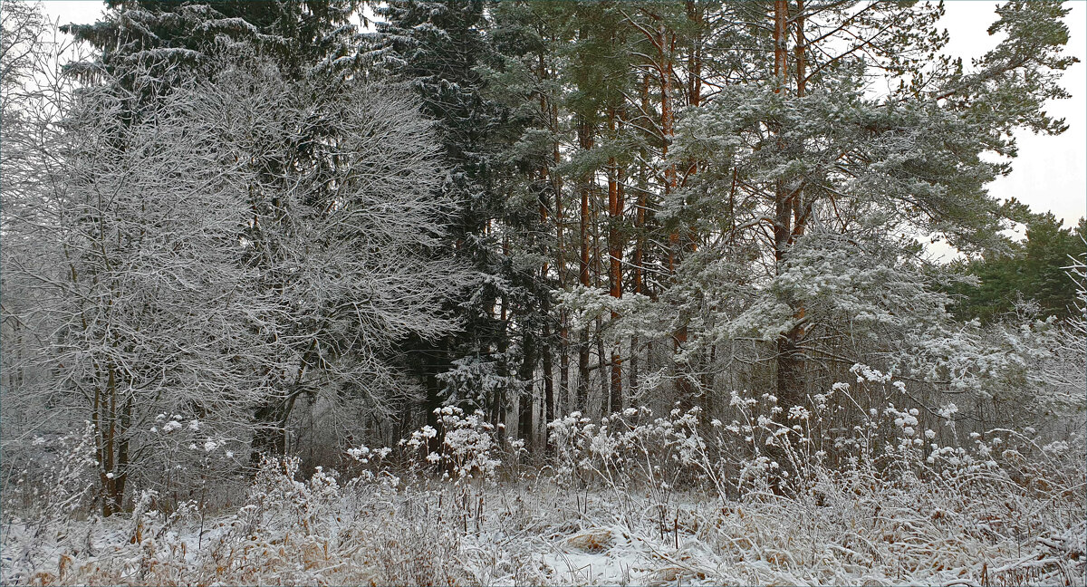 Зимний пейзаж - Нина Синица