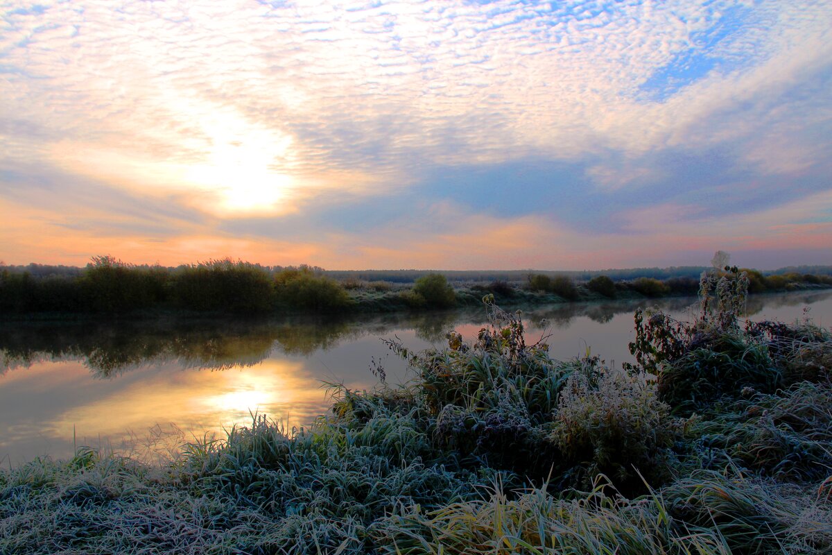 Утром на реке - владимир тимошенко 