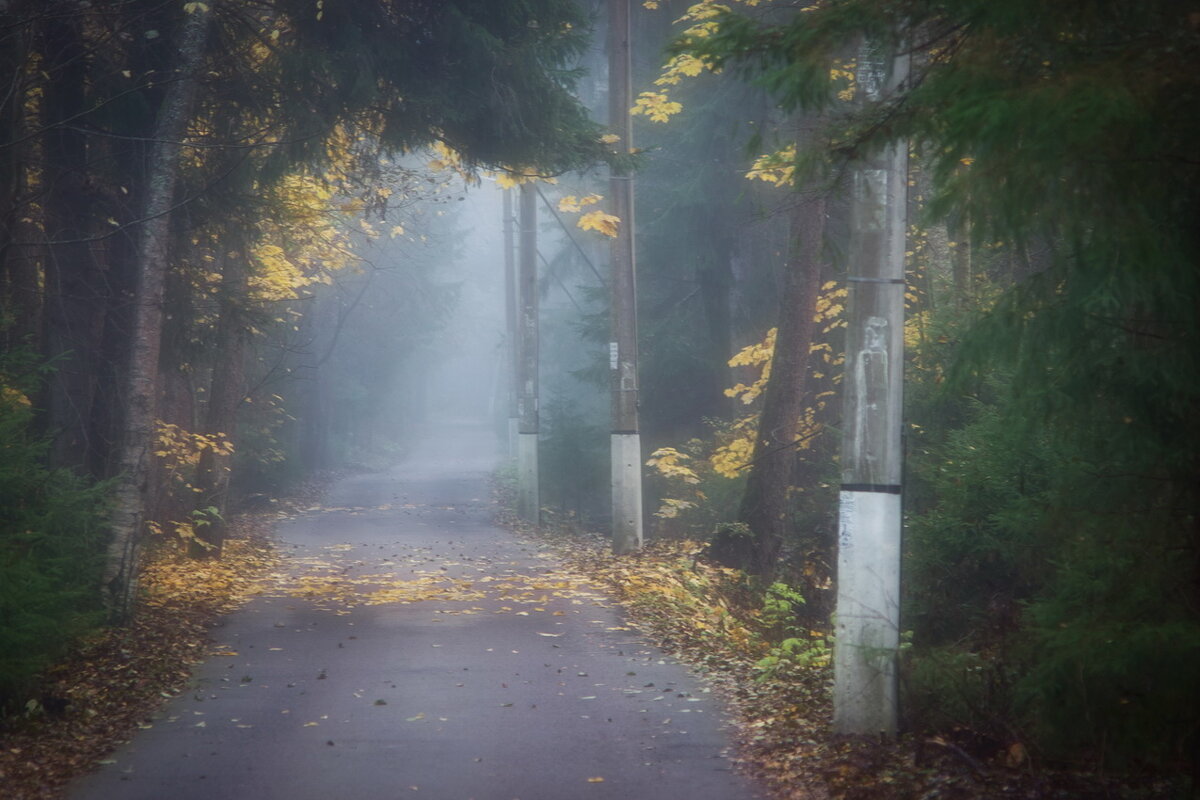 *** - Сергей  Могутов 