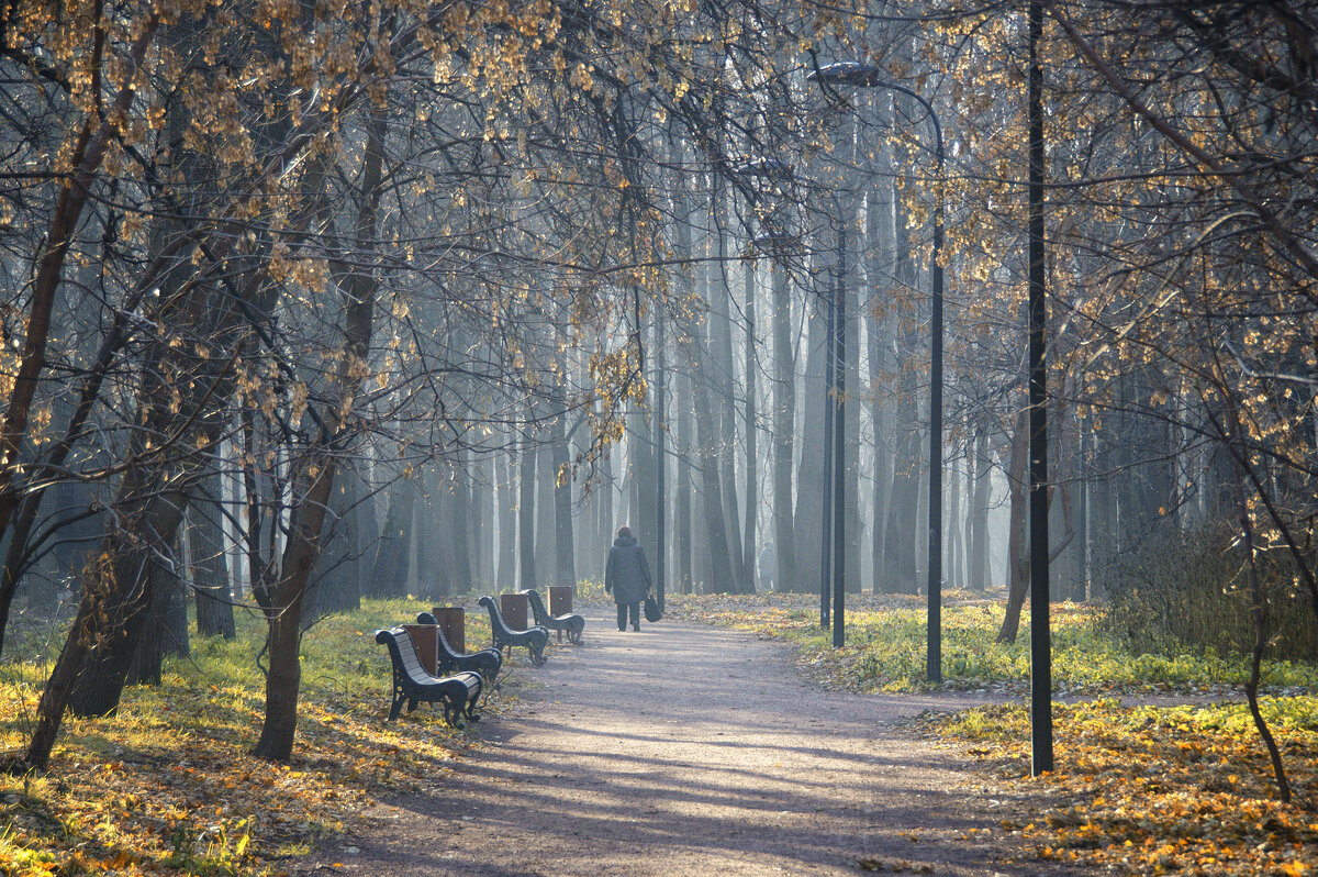 Прогулка в парке - Михаил Танин 