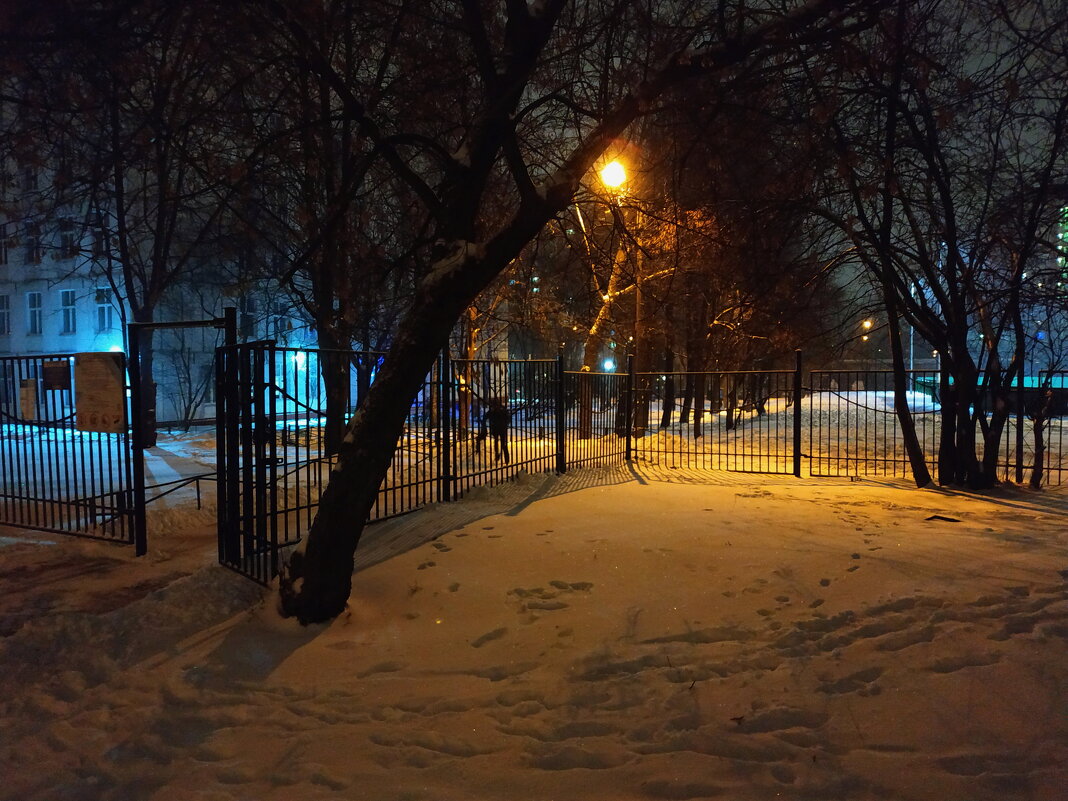 Зимний вечер - Андрей Лукьянов