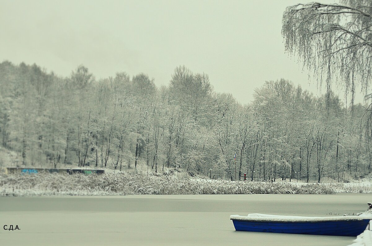 На берегу зимы, во льду... - Дмитрий 