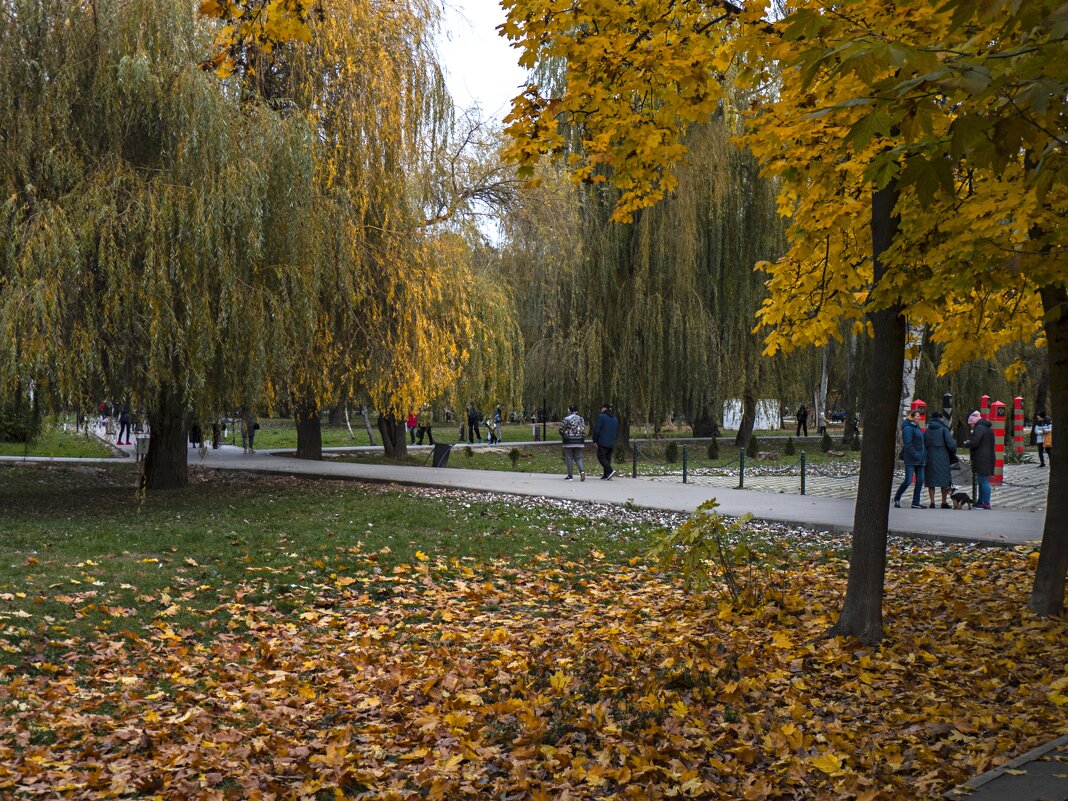 Осень в  Гагаринском парке - Валентин Семчишин
