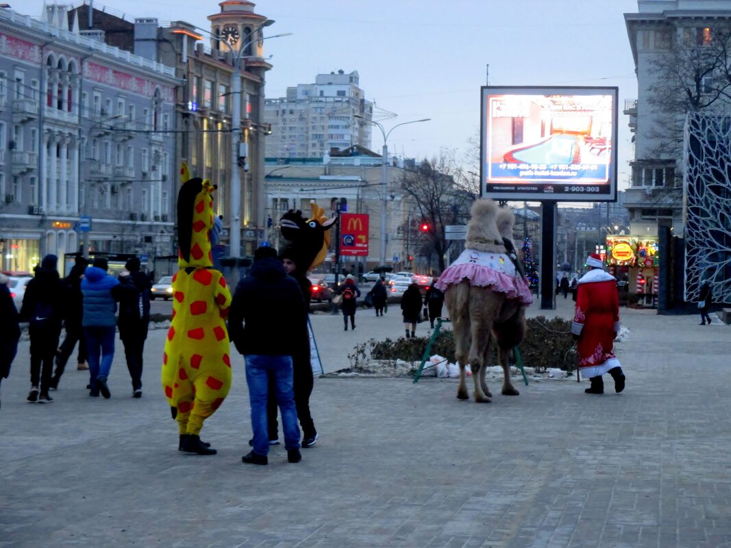 Ростов  предновогодний - Нина Бутко