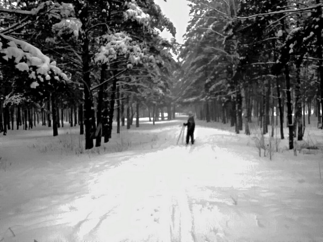 Зима - Владимир Захаров