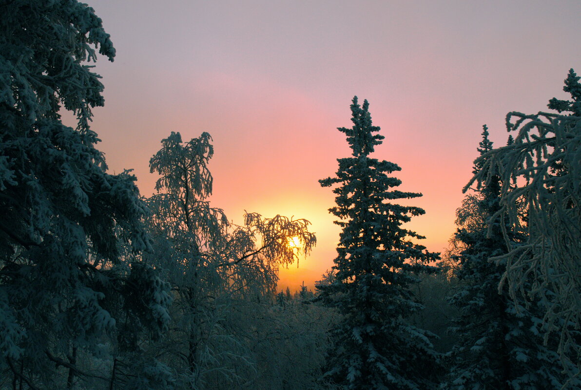 Зимний закат на Таганае. - Galina Serebrennikova