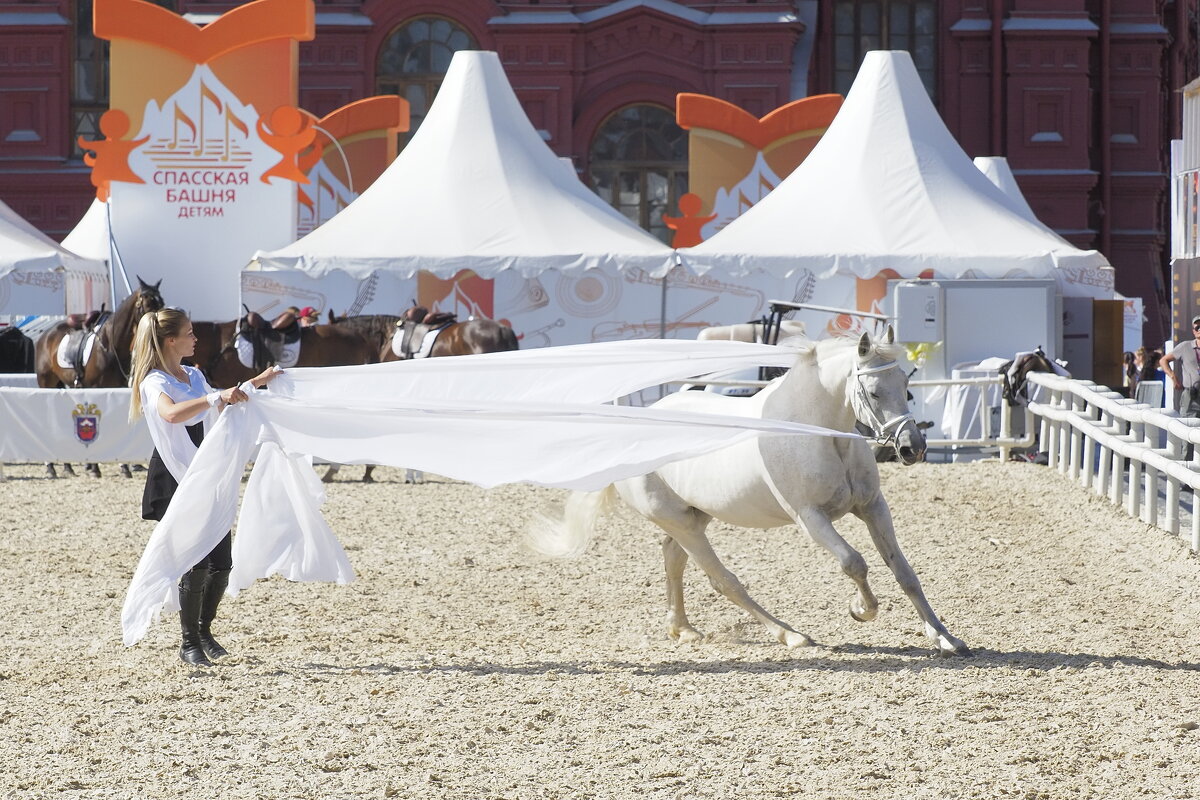 Крылатый конь - Евгений Седов